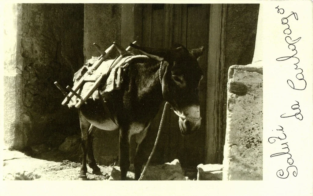 Tovar natovaren drvima u Karlobagu, oko 1915. godine