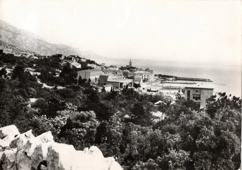 Postcard 8