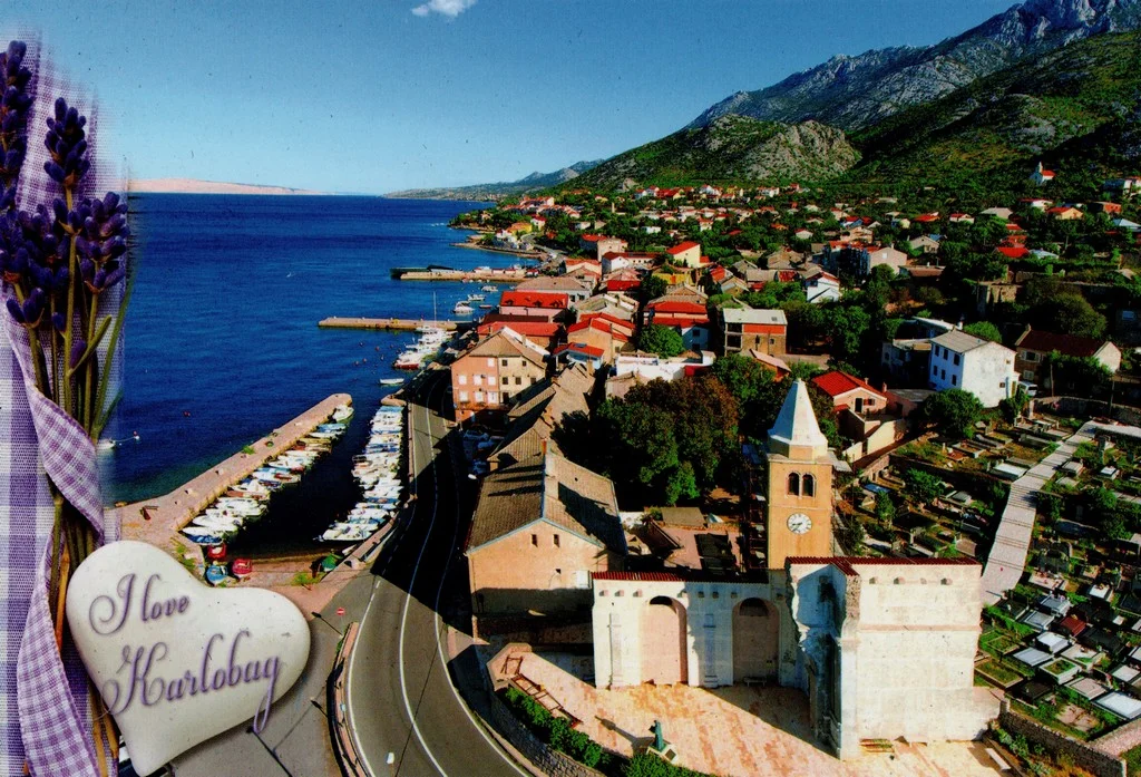 Postcard 41